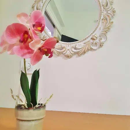 Apartament K & M